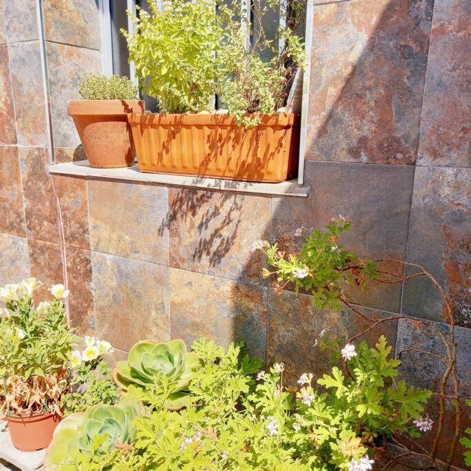 Apartamento Rias Bajas Apartamento Con Jardin Vilanova de Arousa Exterior foto